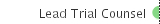 Lead Trial Counsel